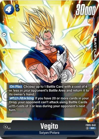 Vegito - FB05-040