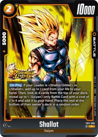Shallot - FB11-086