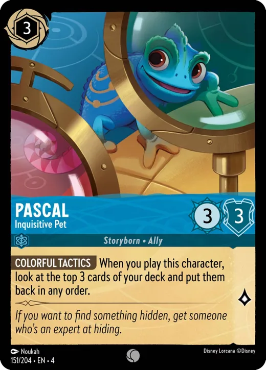 Pascal – Inquisitive Pet