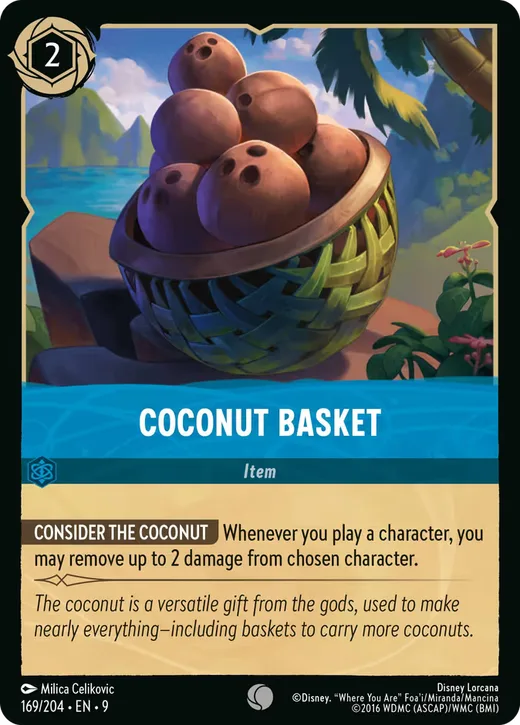 Coconut Basket