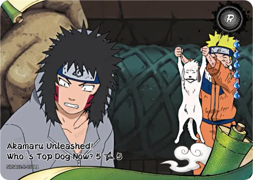 Akamaru Unleashed! Who's Top Dog Now? 5/5