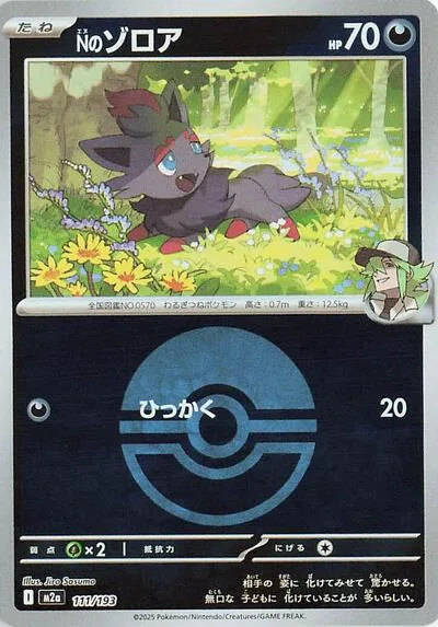 N's Zorua (Poke Ball Pattern)