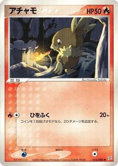 Torchic