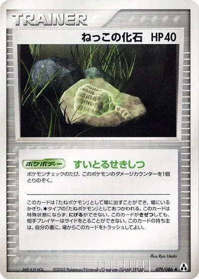 Root Fossil