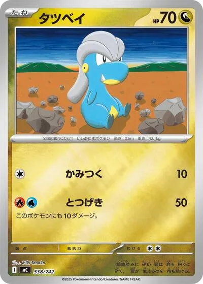 Bagon (Mirror Holo)