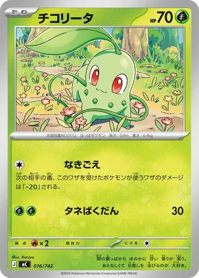 Chikorita