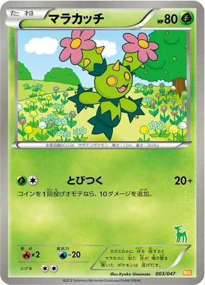 Maractus