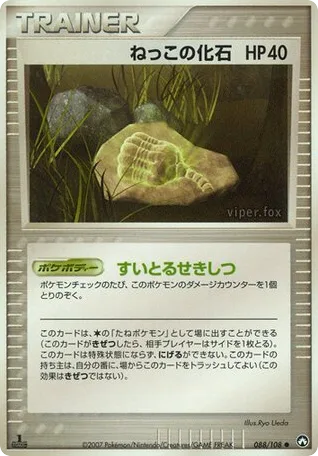Root Fossil