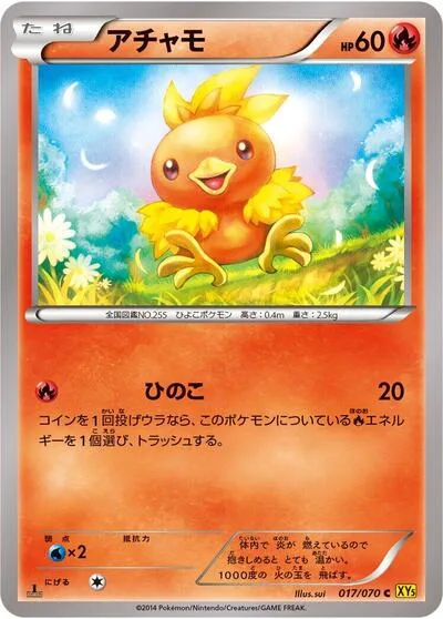 Torchic - 017/070