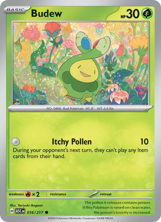 Budew (Master Ball Pattern)