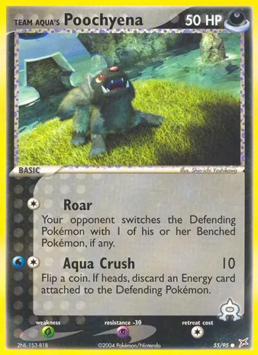 Team Aqua's Poochyena